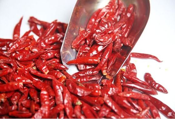 Επικυρωμένο HALAL 12% καψικό πιπεριών τσίλι υγρασίας ξηρό κόκκινο