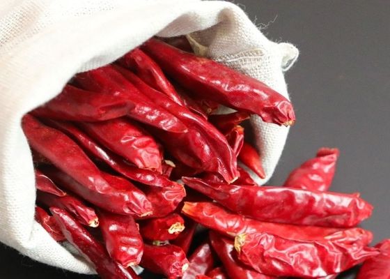 Κόκκινα αφυδατώνοντας πιπέρια του Cayenne που στεγνώνουν την πικάντικη γεύση 15000SHU