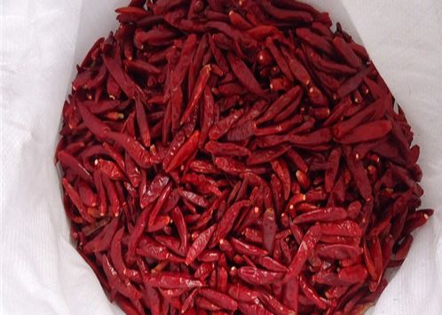 Κόκκινα αφυδατώνοντας πιπέρια του Cayenne που στεγνώνουν την πικάντικη γεύση 15000SHU