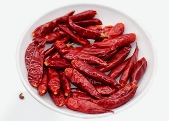 Επικυρωμένο HALAL 12% καψικό πιπεριών τσίλι υγρασίας ξηρό κόκκινο