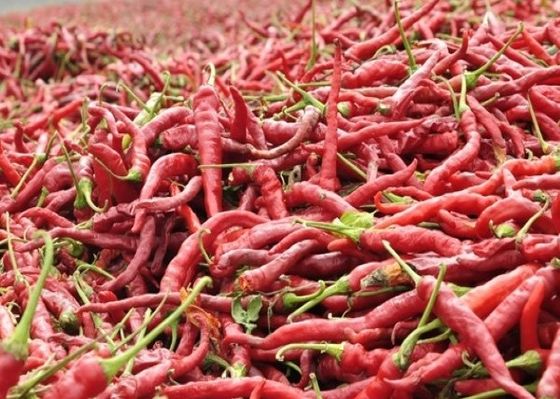 Αφυδατωμένα καρυκεύματα πιπεριών τσίλι πάπρικας λαχανικών ξηρά κόκκινα και καρυκεύματα χορταριών