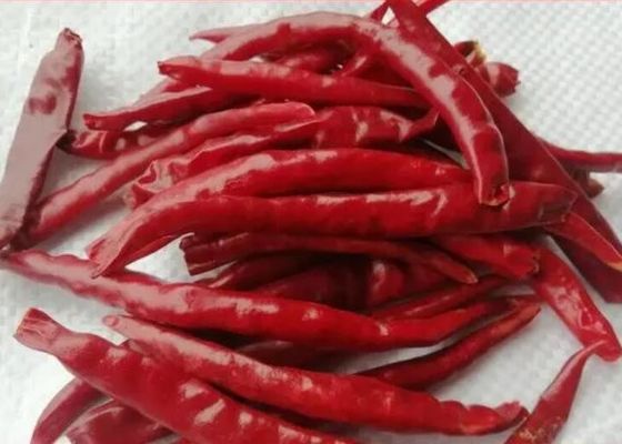Νόστιμα καρυκευμάτων καρυκευμάτων πιπέρια τσίλι Yunnan ξηρά κόκκινα μη - θείο