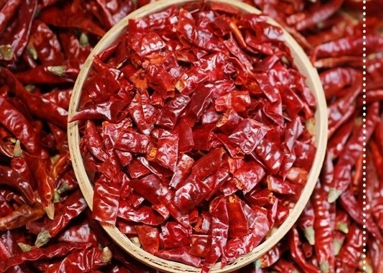 Φυσικά κόκκινα ολόκληρα προϊόντα Χιλή Rojo τσίλι με/χωρίς ρίζα