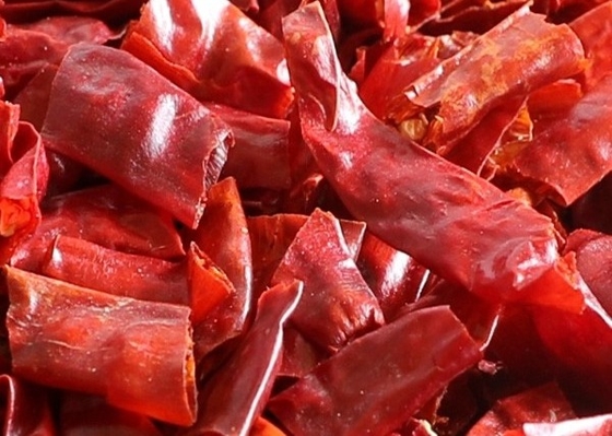 Φυσικά κόκκινα ολόκληρα προϊόντα Χιλή Rojo τσίλι με/χωρίς ρίζα