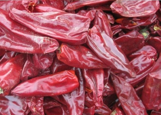 8000 φυσικά Yidu τσίλι Beijinghong Jinta κόκκινων πιπεριών τσίλι SHU