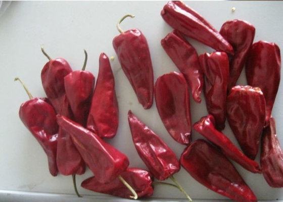 Οργανικά τσίλι Beijinghong Jinta κόκκινων πιπεριών τσίλι Yidu 10 εκατ. υγρασίας 12%
