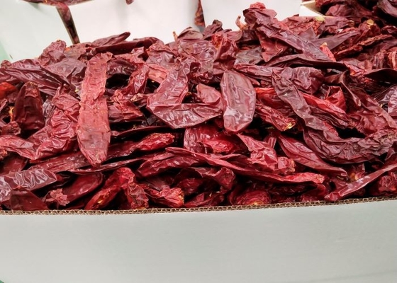 Οργανικά τσίλι Beijinghong Jinta κόκκινων πιπεριών τσίλι Yidu 10 εκατ. υγρασίας 12%
