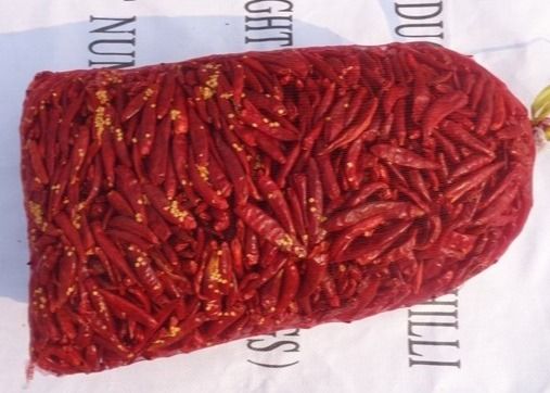 Ξηρά μακριά κόκκινα τσίλι πιπεριών 10000SHU τσίλι 7CM ξηρά ασιατικά