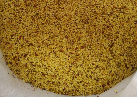 SHU5000-15000 Αποξηραμένοι σπόροι τσίλι Tianjin ή Yidu για σκόνη μπαχαρικών